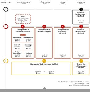 Übersicht des neuen Lizenzystems des DOSB